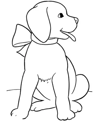 Раскраски собака для 5 лет (54 фото) » рисунки для срисовки на Газ-квас.ком