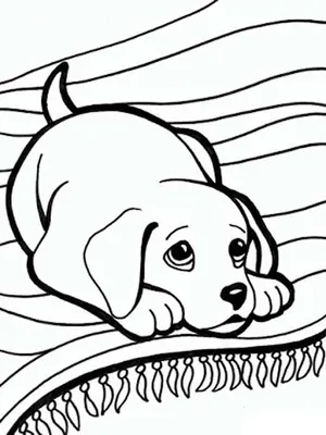 Раскраски собака для 3 лет (52 фото) » рисунки для срисовки на Газ-квас.ком