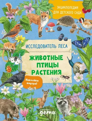 Красная книга: натуралисты из Новосибирска собрали информацию о редких  видах животных и растений - Recycle