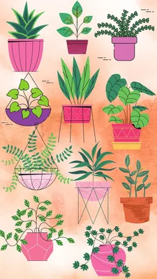 Идеи для рисования растений Варианты вазонов для рисование Растение  карандашом или акварелью | Рисование, Художественные идеи, Растения