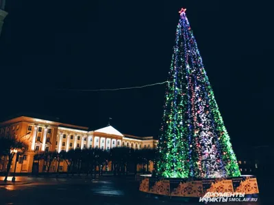 Топ-10 новогодних елок из разных городов Грузии - ФОТО - 01.01.2023,  Sputnik Грузия