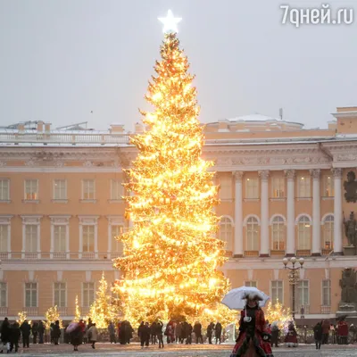 Новогодние ёлки в разных городах России | Фотогалерея | Новый год | АиФ  Смоленск