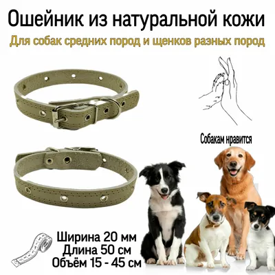 Матрешки собаки разных пород (набор 7 шт) купить в интернет магазине |  Matryoshka.by