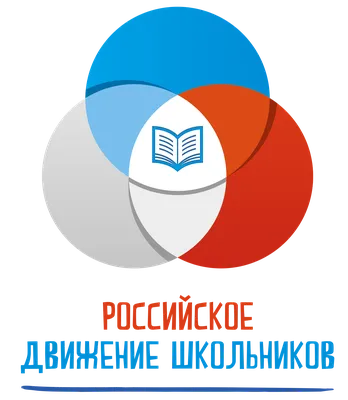 Российское движение школьников — Википедия