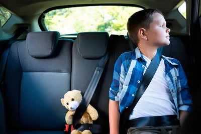 Путешествие с детьми на машине: рекомендации по сбору и планированию, общие  советы
