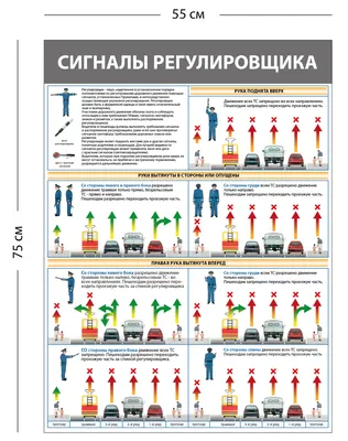 Жесты регулировщика - легко! - Автомобили Гродно