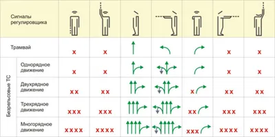 👮🏻Думаешь, что сигналы регулировщика нужно знать только водителям? Ты  ошибаешься! Сотрудники Госавтоинспекции.. | ВКонтакте