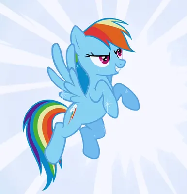 Rainbow Dash | My Little Pony Friendship is Magic Wiki | Fandom