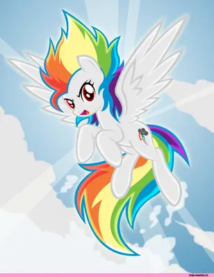 Rainbow Dash by Ricardo Cavolo Now Available for Pre-Order | MLP Merch