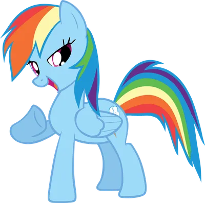 Rainbow Dash | My Little Pony: Pony Life Wiki | Fandom