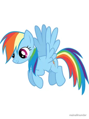 My Little Pony Mane Pony Rainbow Dash Classic Figure - My Little Pony