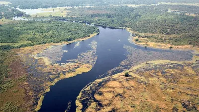 В Африке нашли самую темную реку в мире. Как она выглядит | РБК Life
