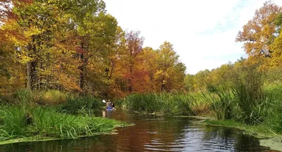 Река Колвица: сплавы, рыбалка, водопады, маршруты, фото, как добраться