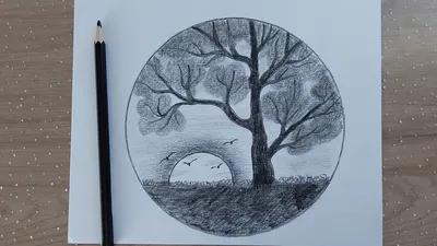 Как правильно рисовать деревья карандашом - kalachevaschool.ru