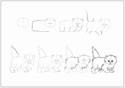 Рисунки для срисовки для детей 6 лет (33 фото) 🔥 Прикольные картинки и  юмор | Раскраски, Легкие рисунки, Рисунки