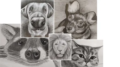 Рисунки животных, как будто из сказки - YouLoveIt.ru