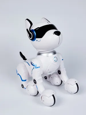 Робот собака Koddy IQ BOT, на пульте управления, интерактивный: звук, свет,  танцующий, музыкальный, на аккумуляторе (4376315) - Купить по цене от 2  750.00 руб. | Интернет магазин SIMA-LAND.RU