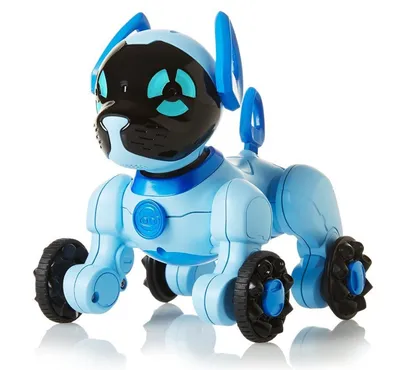 Умный робот-собака с искусственным интеллектом. Sony Aibo купить в Москве  по приятной цене