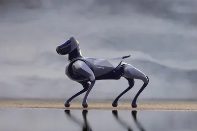 Робот-собака Чип - интерактивная игрушка на сайте slonotop.ru - Доставка в  надежной упаковке в любой регион