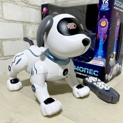 Радиоуправляемая собака-робот Smart Robot Dog - ZYA-A2875 - купить с  доставкой по выгодным ценам в интернет-магазине OZON (184250282)