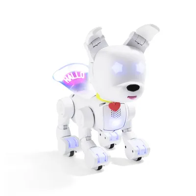 Купить Робот собака Рокки, интерактивная музыкальная игрушка, 1921RU в  Минске - интернет-магазин игрушек Minsktoys.by