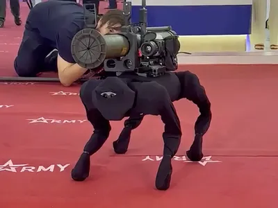 Интерактивная Собака робот Smart Dog на радиоуправлении купить в интернет  магазине Королева Игрушек в Москве и России, цена, фото, отзывы