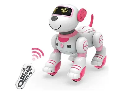 Робот-собака на р/у Smart Dog (арт. 20173-1) - купить в Харькове и с  доставкой по Украине в интернет магазине Toystory