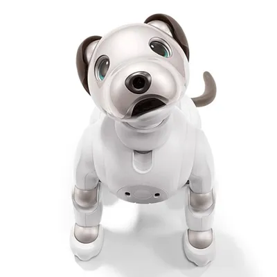 Робот Rastar Умная собака Белая 77900 купить по цене 4999 ₽ в  интернет-магазине Детский мир