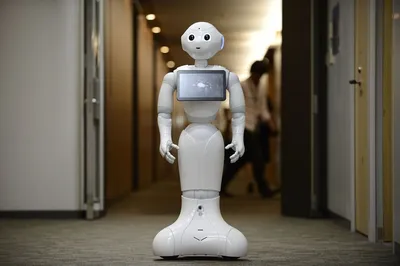 Курс «Программист мобильных роботов»: обучение на разработчика ПО для  автономных роботов онлайн — Skillbox
