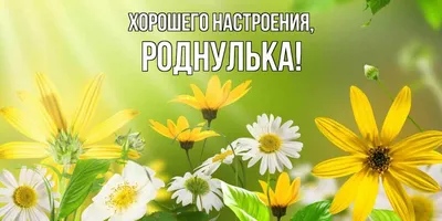 Открытка для любимых и родных роднулька Хорошего дня. Открытки на каждый  день с пожеланиями для родственников.