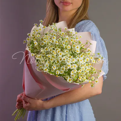 Букет цветов Композиция из Ромашки и Гипсофилы «Нежная Любовь» с доставкой  | СтудиоФлористик