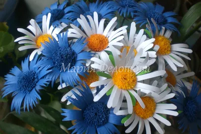 Букет Любимой маме - купить цветы с доставкой по Москве и МО от 4790 руб |  «Букет-Маркет»