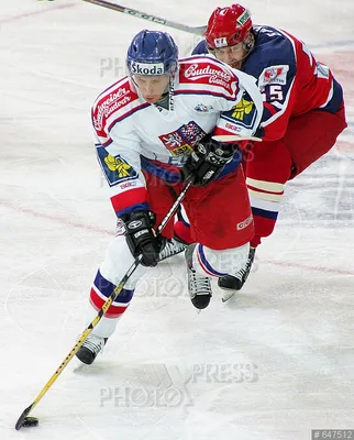 Хоккей Россия - Чехия / PhotoXPress