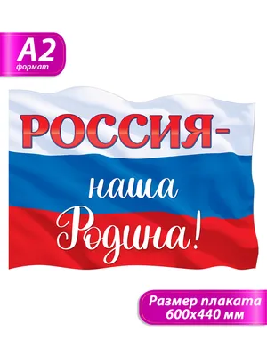 Обучающие карточки «Наша Родина Россия» (европодвес) (4339307) - Купить по  цене от 41.00 руб. | Интернет магазин SIMA-LAND.RU