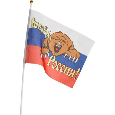 Купить Флаг России с медведем и девизом Вперёд Россия! недорого в интернет  магазине | Магазин Символики | magazin-simvoliki.ru
