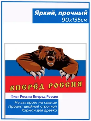 Россия вперед\" Изображение для нанесения на одежду № 0473 купить со скидкой  в интернет-магазине СувенирПрофф - Красноярск