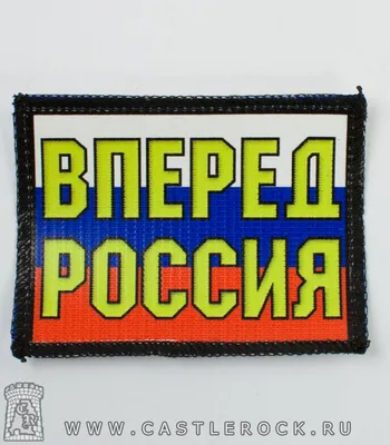 Подушка, Надписи, \"Россия вперед\" 40x40 - купить по низкой цене в  интернет-магазине OZON (1249294428)