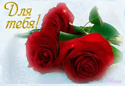 Букет красных роз и листа белой бумаги с надписью я тебя люблю, на  деревянной черной предпосылке Стоковое Фото - изображение насчитывающей  праздник, корабль: 130179860