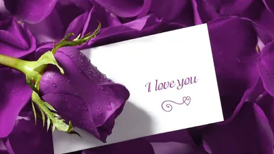 Коробка 29 шоколадных роз с надписью Мама Я Тебя Люблю - купить с доставкой  по выгодным ценам в интернет-магазине OZON (348230027)