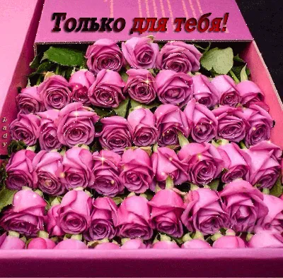 Красивые розы с пожеланиями - 71 фото