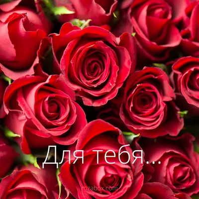 Красивые картинки с надписью розы для тебя (44 фото) » Юмор, позитив и  много смешных картинок