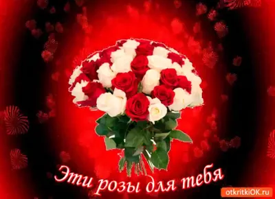 Красные розы с надписью я тебя люблю Стоковое Фото - изображение  насчитывающей страсть, украшение: 116035668