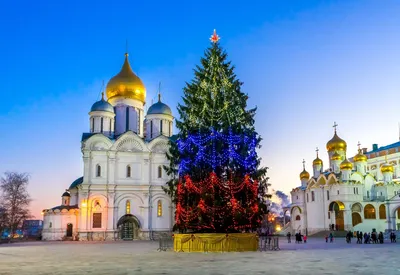 В Останкине пройдёт рождественская онлайн-встреча | Районная  интернет-газета Останкинские ведомости СВАО Москвы