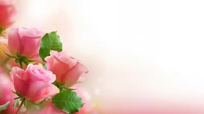 Картинка на рабочий стол розовые, розы, букет, листья, цветы 1920 x 1080