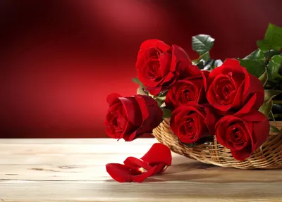 Обои Цветы Розы, обои для рабочего стола, фотографии цветы, розы, корзина,  красные Обои для рабочего стола, скачать обои картинки заставки на рабочий  стол.