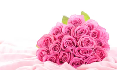 Обои цветок, Роза, цветочный букет, сад роз, розовый - картинка на рабочий  стол и фото бесплатно