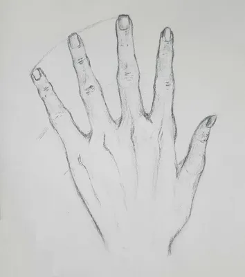 Как нарисовать руки карандашом: пошаговая инструкция | Рисование и живопись  | Дзен