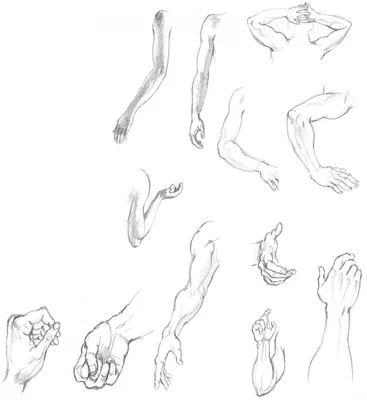 Урок 15. Рисование рук и ног человека карандашом