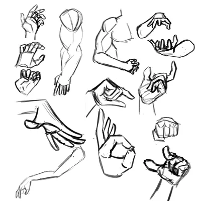 Как рисовать руки, кисти и пальцы поэтапно: урок из 18 шагов