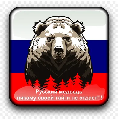 Русский медведь и русская карта Дикое животное показывая большие пальцы  руки вверх и Иллюстрация вектора - иллюстрации насчитывающей хорошо,  погремушк: 74641775
